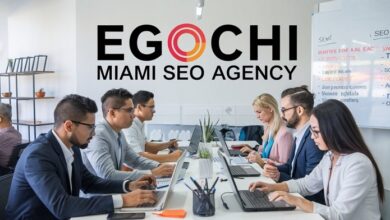 Egochi Miami SEO Agency